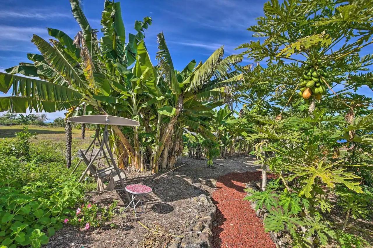 Tranquility Guest House Holualoa Εξωτερικό φωτογραφία